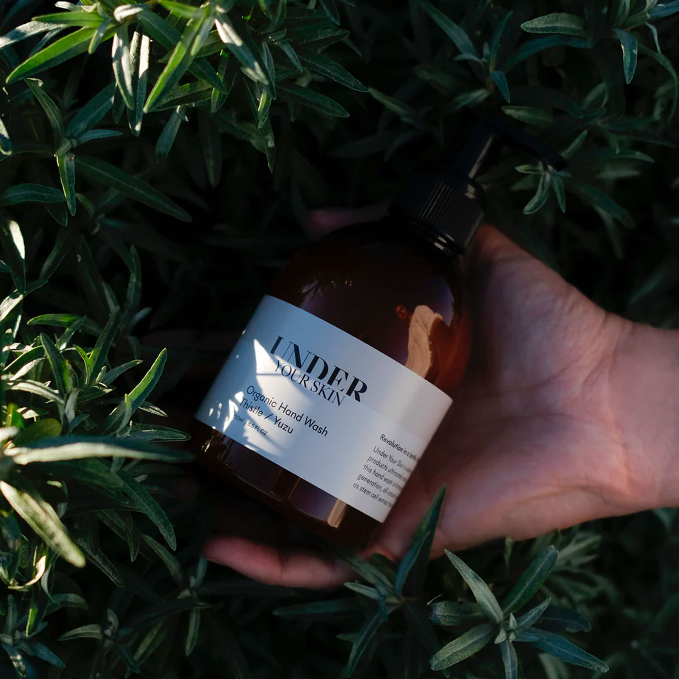 Organic Hand Wash - Thistle/Yuzu 250 ml