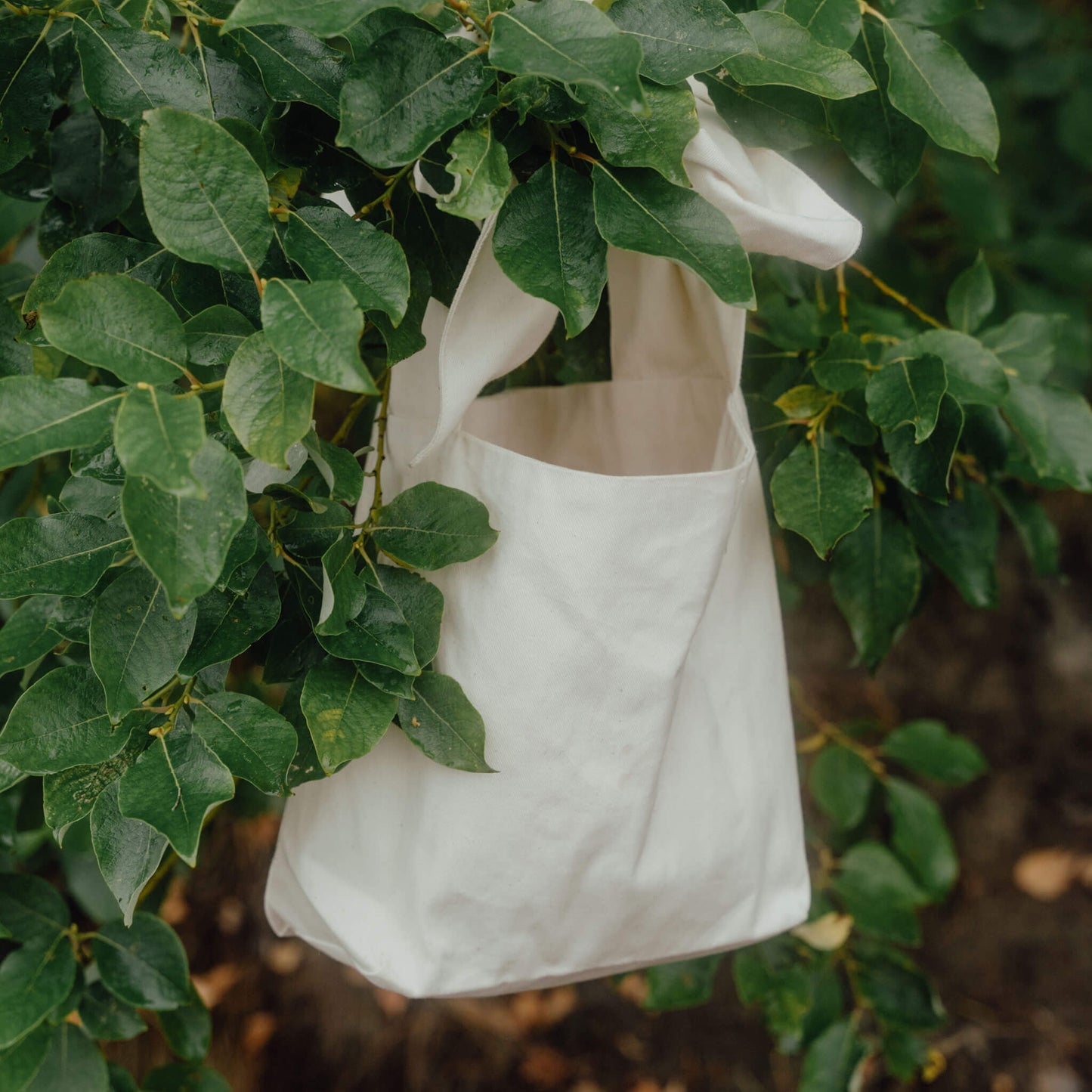 Organic Cotton Bow Bag