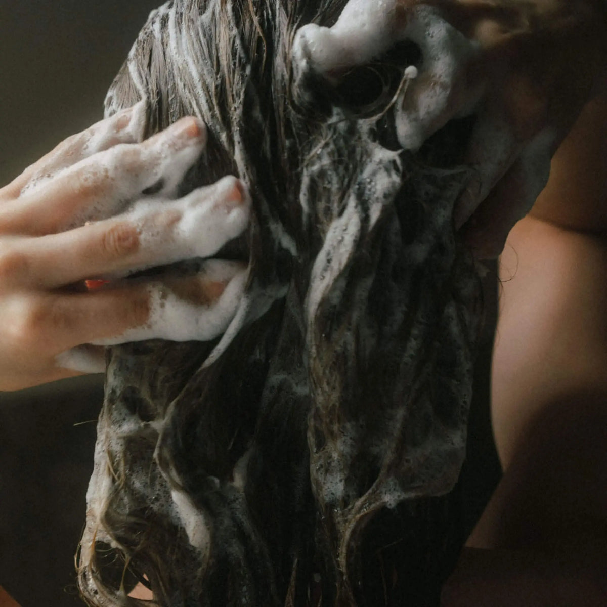 Density Shampoo