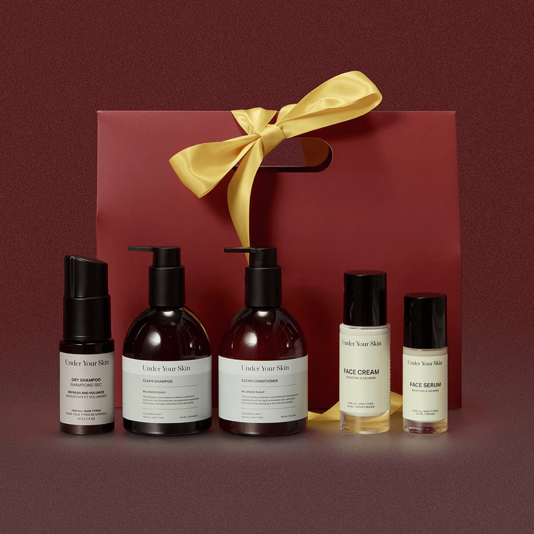 holiday clean kit product with gift box on background.