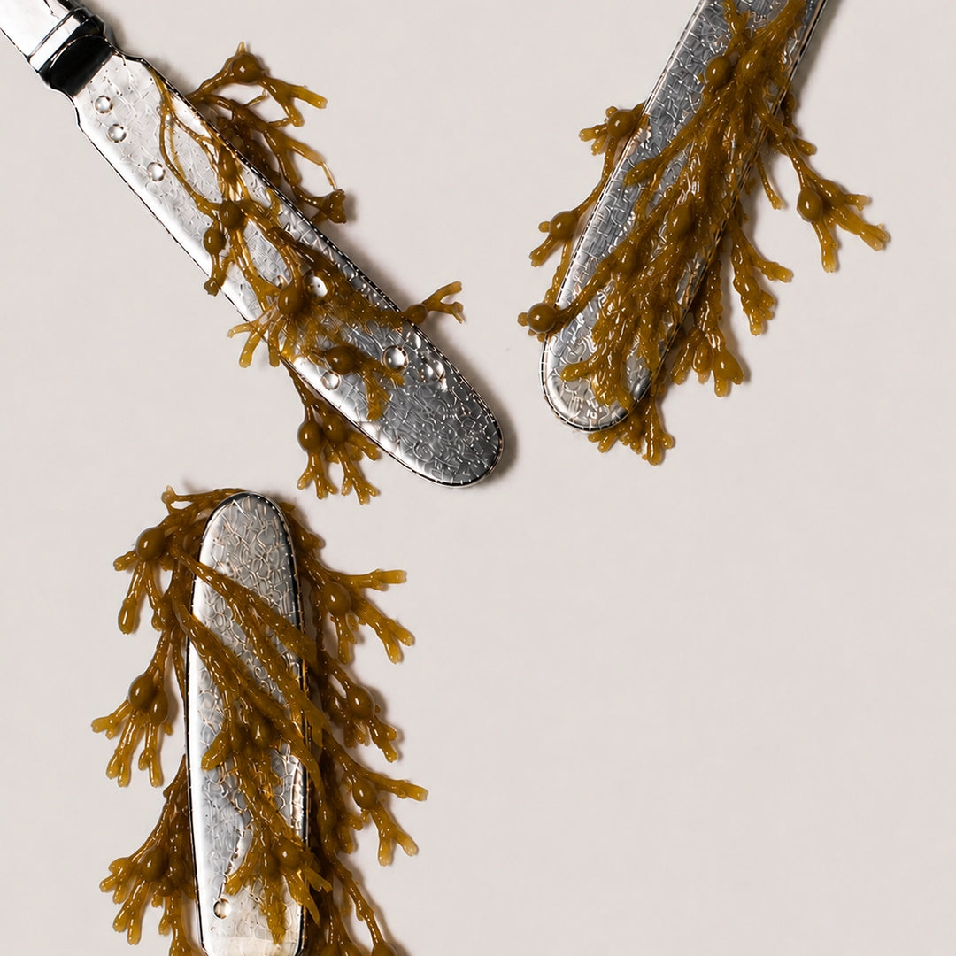 Norwegian microalgae